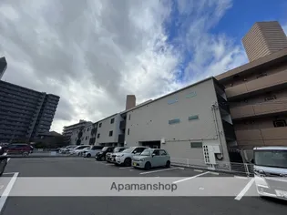 ハピネスの画像