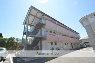 フローレンス椿の画像