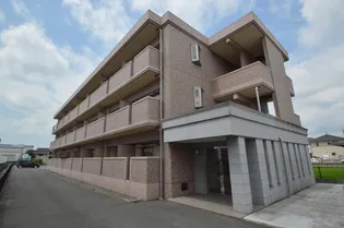 アン オウルの画像