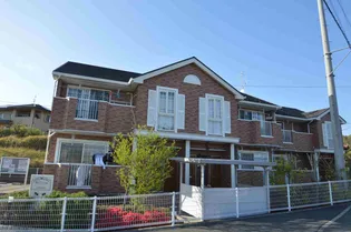 メリッサIIの画像