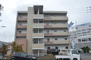 プランドールの画像