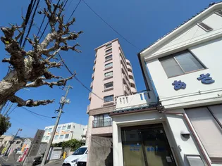 ハイネス江波【501号室号室】の外観