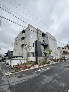 フィーノの画像