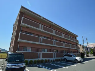 デスパシオAの画像