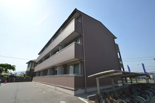 アンソリテCの画像