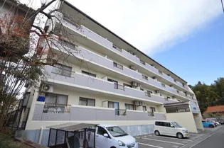 ラジュールの画像