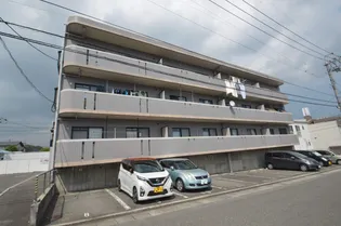 ハイビスカスAの画像