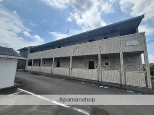 コーラルの画像