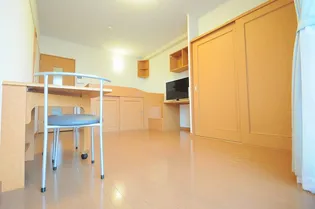 レオパレスアドミラル【209号室】の居間