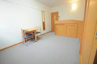 レオパレスアドミラル【209号室】の居間