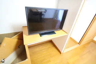 レオパレスアドミラル【209号室】のその他画像