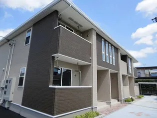 ヴィータ プラシードの画像