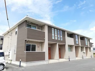 ステラ光の画像