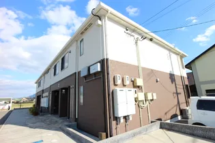 スカイグレイスの画像