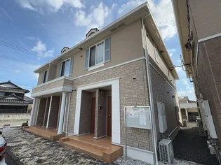 アンジェリーク ベルBの画像