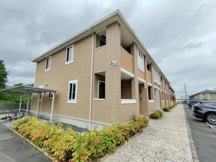 ららこーと Dの画像