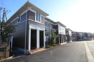 プラシードAの画像