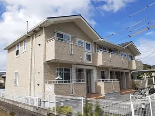 プラシード1の画像