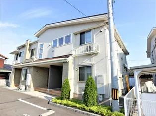 ヴィオラ IIIの画像