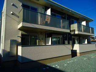 なでしこの画像