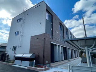 ララ ヴィコロYの画像