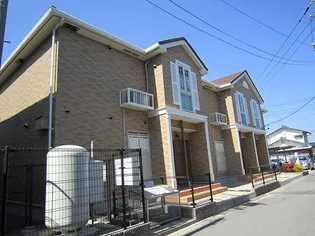 ニューハーバーライトの画像