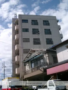 ヴィリジアンタワーの画像