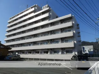 アクティブSの画像