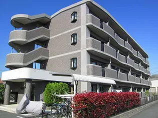 グロース バウムの画像