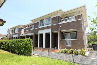 グレースY Sの画像