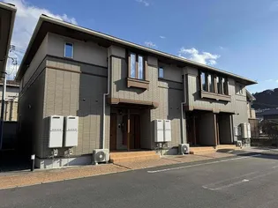 ルミノッサBの画像