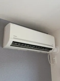 オストラーゼン ハオス【1階】のその他画像