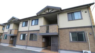 アイネカッツェの画像