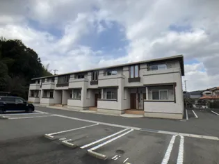 チェリー ブロッサムⅢの画像