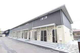 クウォーレの画像