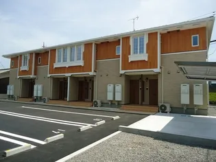 ジプソフィーラ Bの画像