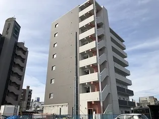 ワイズ エストの画像