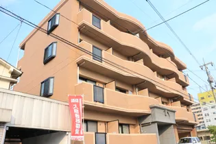 プリムローズ麻里布の画像