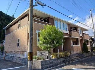 レフィーノAの画像