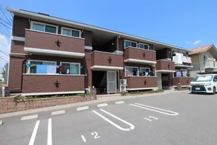 レインボーMの画像