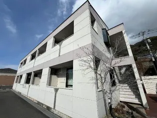 ルミナススターの画像