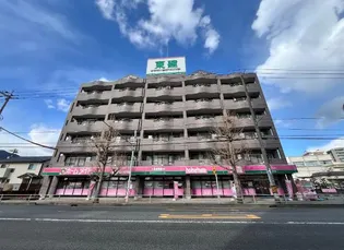 プリマヴェーラの画像