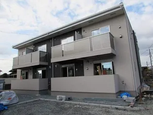 なでしこの画像