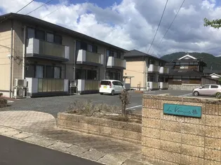 ラ ヴィナス椿の画像