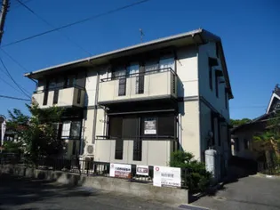 セジュール光の画像