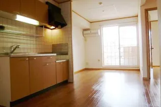 ビガーハイツ【203号室】の居間