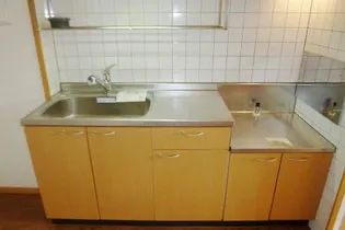 ビガーハイツ【203号室】のキッチン