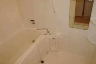 ビガーハイツ【203号室】の風呂