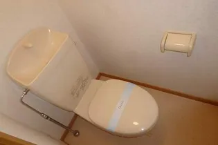 ビガーハイツ【203号室】のその他画像