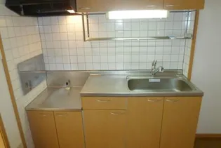 ビガーハイツ【1階】のキッチン